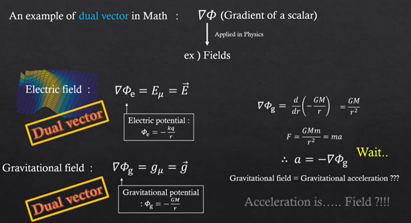 What is Dual Vector and Acceleration is Field | Naixian Zhang